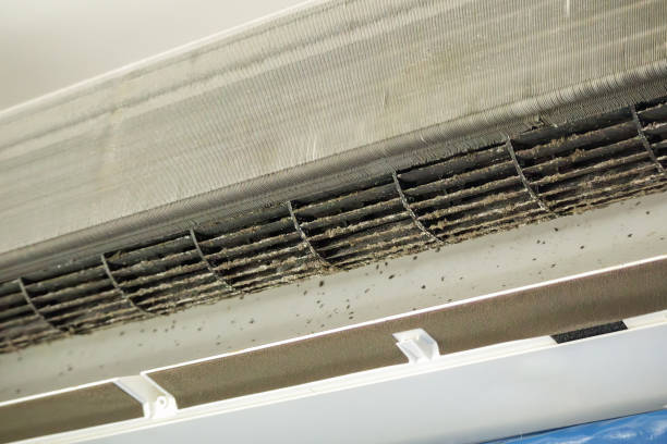 Best Ventilation Cleaning Services  in Lake Hamilton, AR